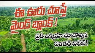 చెట్లకు కూడా ఆధార్&zwnj; | How to Calculate Tree Age | The Secret Life of Trees | Rural Media