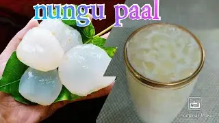 nungu paal | nungu paal summer special drink | நுங்கு பால் செய்வது எப்படி தமிழ் | nungu paal recipe