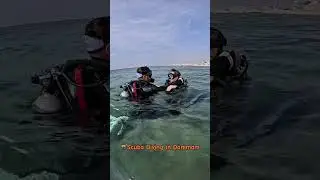 Scuba Diving in Dammam with Adventure Khobar | Explore the Underwater World! 🌊🐠