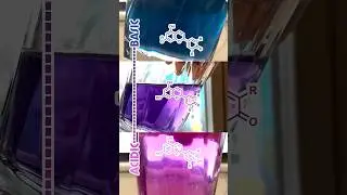 Make a pH indicator from cabbage! Easy science experiment you can do at home! #chemistry #colorful