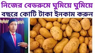 আলু এক্সপোর্ট করুন Export Import Business in West Bengal 