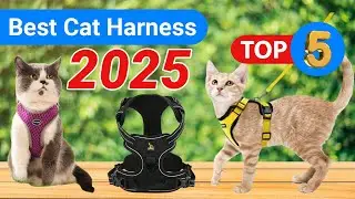 Top 5 Best Cat Harness of 2025 ( Top cat product reviews)
