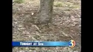 WFSB: Tonight on Eyewitness News starting at 5 [4-10-2002]