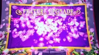 Compilation of mediocre & bad payouts  #dancingdrums Prosperity  #slot #bonusgame #gamble