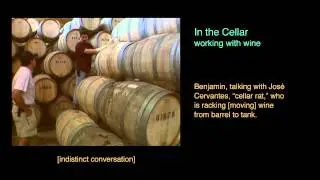 In the Cellar: Working with wine