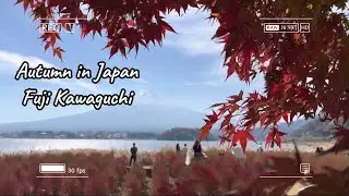 Trip Fuji Kawaguchiko | Musim Gugur | Autumn in Japan 2023