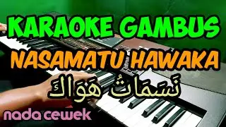 KARAOKE GAMBUS  NASAMATU HAWAKA ||  SALWA SYIFA ||  KORG PA700 ORIENTAL