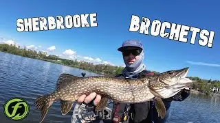 Pêche Au Brochet En Kayak, À Sherbrooke !