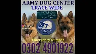 Army Dog Center Bahawalnagar #03024901922  #armydogcenterallpakistan (2)