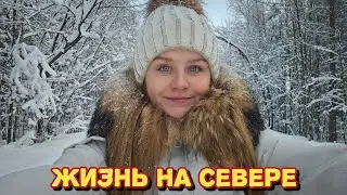 Живём в лесу, за городом/приготовила много котлет и очень вкусное печенье/сдала кровь.