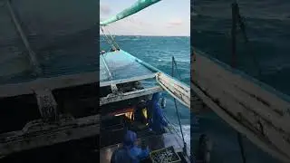 ombak besar tetap mencari kepiting termahal