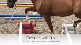 Cavaletti with Rio - Sport & Horsemanship United - Liesbeth Jorna