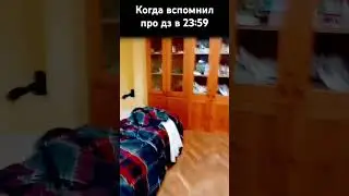 Когда вспомнил про дз в 23:59 #memes #funny #fart #comedy #jokes #minecraft #meme #майнкрафт #мемы