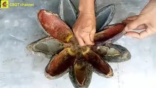 Make flower pots with cement at home // flower-shaped flower pot