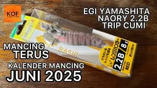 #108 KALENDER MANCING KOF JUNI 2025 ‼️ LURE EGI YAMASHITA NAORY 2,2B 8gr UNTUK TRIP CUMI MALAM HARI