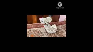 Sg wicket keeping gloves(super club)