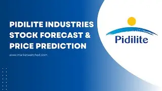 Pidilite Industries Share Price Target 2026 to 2030 Future Forecast & Growth Potential