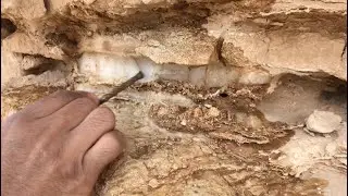 اماكن تواجد الذهب بعد الامطار