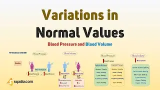 Blood Pressure and Blood Volume | Variations in Normal Values