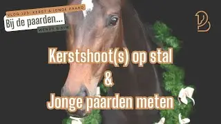 De kerst komt eraan en dat betekent KERSTSHOOTS en CADEAUTJES! Ook gaan we de JONGE PAARDEN METEN!