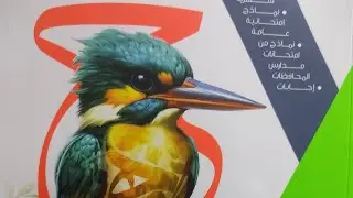 إجابة محافظة الدقهلية إدارة المطرية التعليمية #الامتحان#أولي_ثانوي#2025 #امتحانات_المحافظات_الإدارات