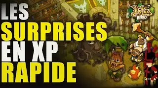 LES SURPRISES EN XP RAPIDE - CHAINE TOT ARENE & AUTRES + ITEMS THL SASA [DOFUS RETRO |ARENE| EP. 3]