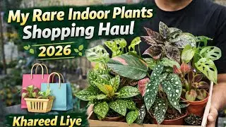 My Rare Indoor Plants Shopping Haul 2025 🌸| Online Plant Haul USA UK Canada #gardening #Viral #Trend