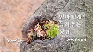고린도전서 8장/만물이 그분으로부터 왔고 우리도 그분을 위해 있습니다/엄마에게 들려주는 성경