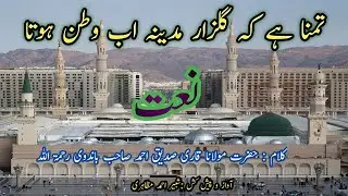 تمنا ہے کہ گلزار مدینہ اب وطن ہوتا (آواز شبیر احمد)