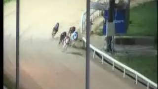 IGB - The Upcoming Events A0/A1  01/02/2020 Race 5 - Shelbourne Park
