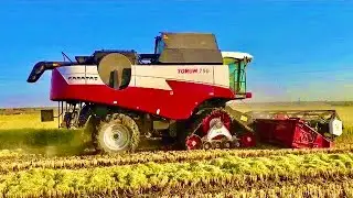 ROSTSELMASH TORUM 750 TR’DE İLK | KARATAŞ GÜVENCESİYLE ARTIK TÜRKİYE DE - ÇELTİK HASADINA BAŞLADI