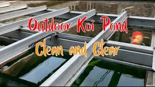 How I Keep My Outdoor Koi Pond Clean and Clear Naturally | 6-Chamber Filtration with Airlift System