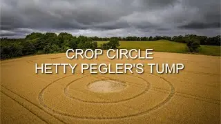 Crop Circle | Hetty Pegler's Tump | Gloucestershire | Reported 24/06/23