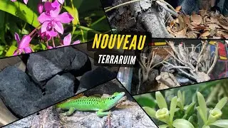 JE FAIS LE DÉCOR DE MON NOUVEAU TERRARIUM ! Vlog Junglesque n°3