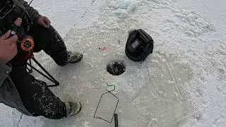 Ice Fishing in Anchorage Alaska #icefishing #fishing #troutfishing #alaska #hardwater