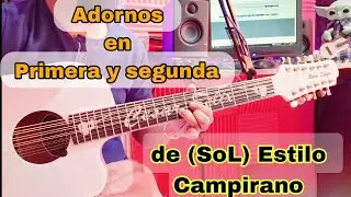 Adornos en Primera y Segunda de (SoL)en Guitarra Estilo Campirano