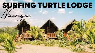 Surfing Turtle Lodge | Unique Hostel in Nicaragua
