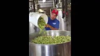 Fresh Hop Brew