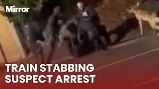 The horrifying moment Huntingdon train stabbing suspect arrested by armed cops