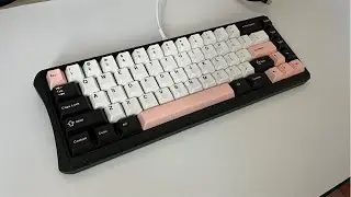 화공) Dolphin linger re Cherry Black + Cream stem Typing sound