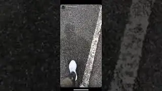 Scribz (67) Fresh Home