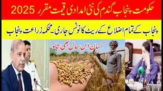 Punjab government sets wheat support price for 2025 || Farmer's wheat destroyed this year too