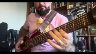 #slapbass #bassplayer #warwickbass #bassporn