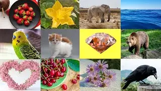 We Love All the Colors |Learn Red, Blue, Green & Pink |Kids Colors Song |Nursery Rhymes & Kids Songs