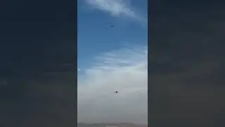 Рю и Мартин Пикеринг совершают безумный совместный полёт в Дубае! Gonzo Hobbies #rc #rcaircraft #...