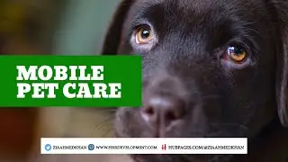 How to Start Pet Care Services [ Mobile and Online Subscription]