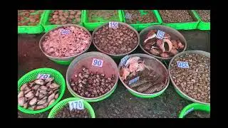 MUA HẢI SẢN TƯƠI SỐNG Ở VŨNG TÀU