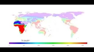 Late Pleistocene expansion of anatomically modern humans
