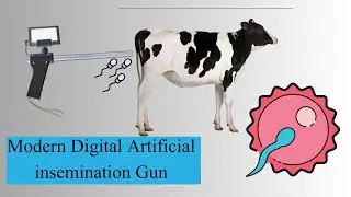 Revolutionary Digital AI Gun for Cattle | Modern Artificial Insemination Technology Explained!