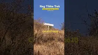 Nag Tibba Trek #trekking #nagtibba #nagtibbasummit #mountains #pahad #adventureawaits #shorts #trek